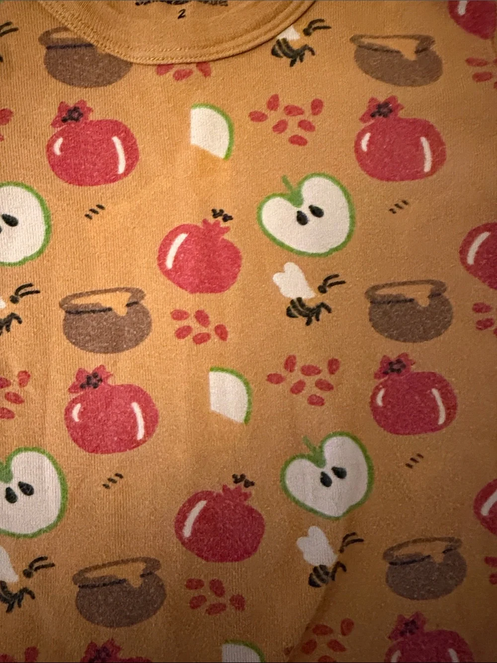 Toddler 2T apples and honey Rosh Hashanah Pajamas